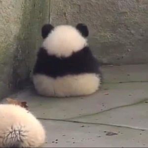 Meet your Posher, Mridula